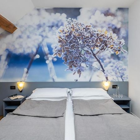 Pippo Hotel Terzolas Ngoại thất bức ảnh